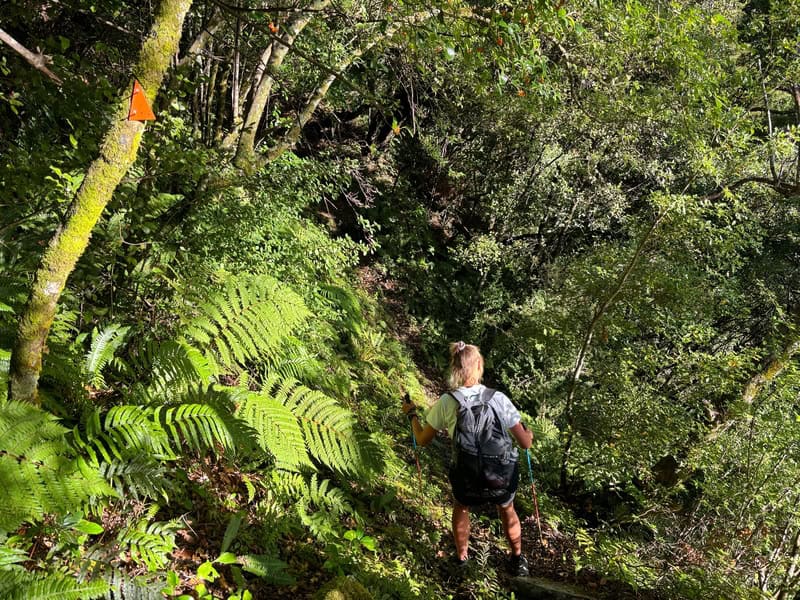cameron hut trails getting rough