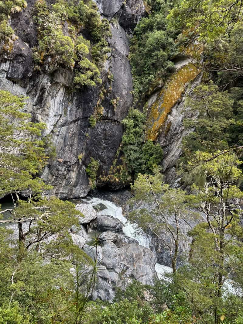 camerons creek otago