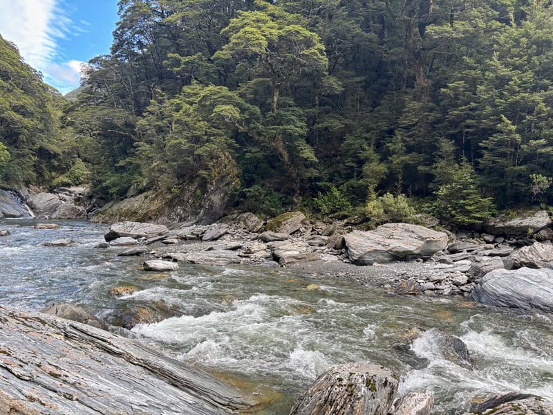 camerons creek track crossing to get to the hut