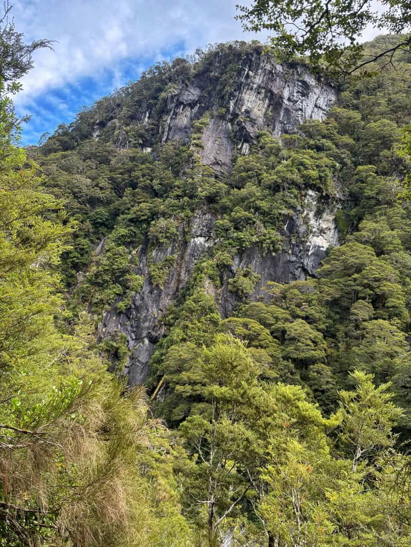 cool cliffs above camerons creek otago