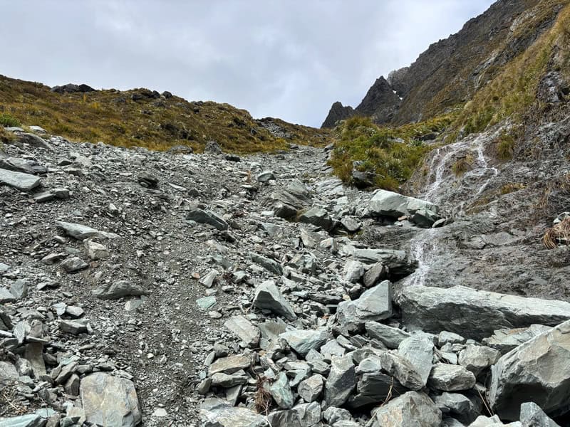 exit point into the tussocks