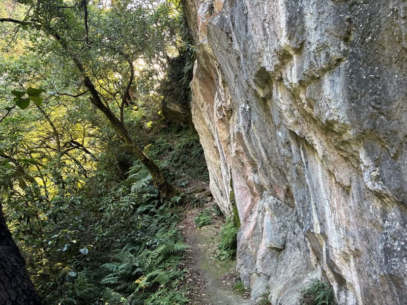 fun cliff on the cameron hut track