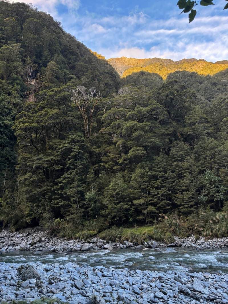 mount aspiring national park views