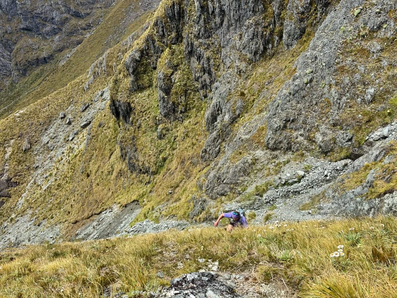 the final pinch up emily pass