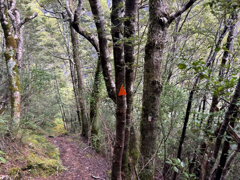 track markers on the cameron hut track