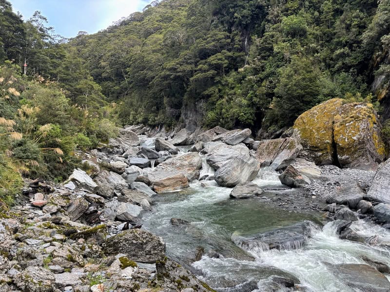 camerons creek otago