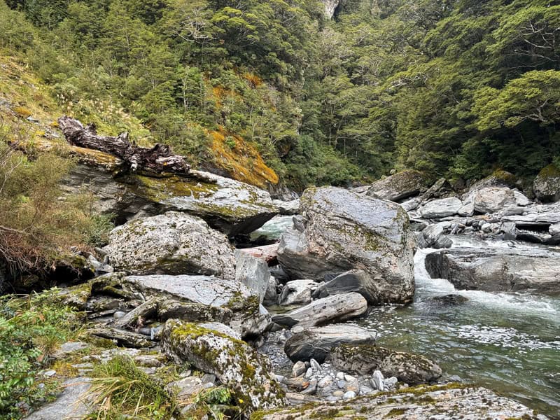 where you go up the creek