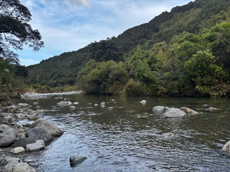 a place to swim by atiwhakatu carpark