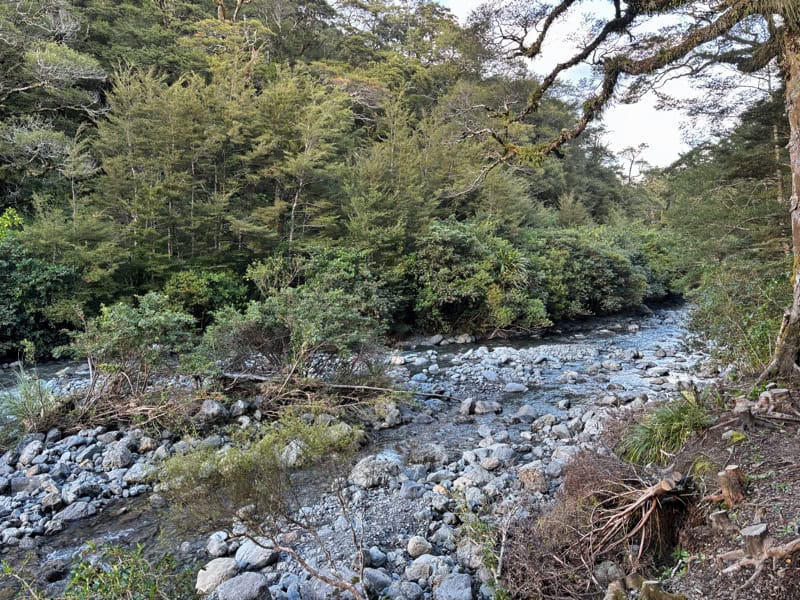 as seen from near atiwhakatu hut