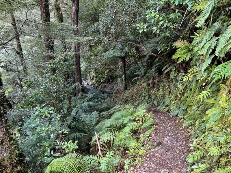 atiwhaka track condition