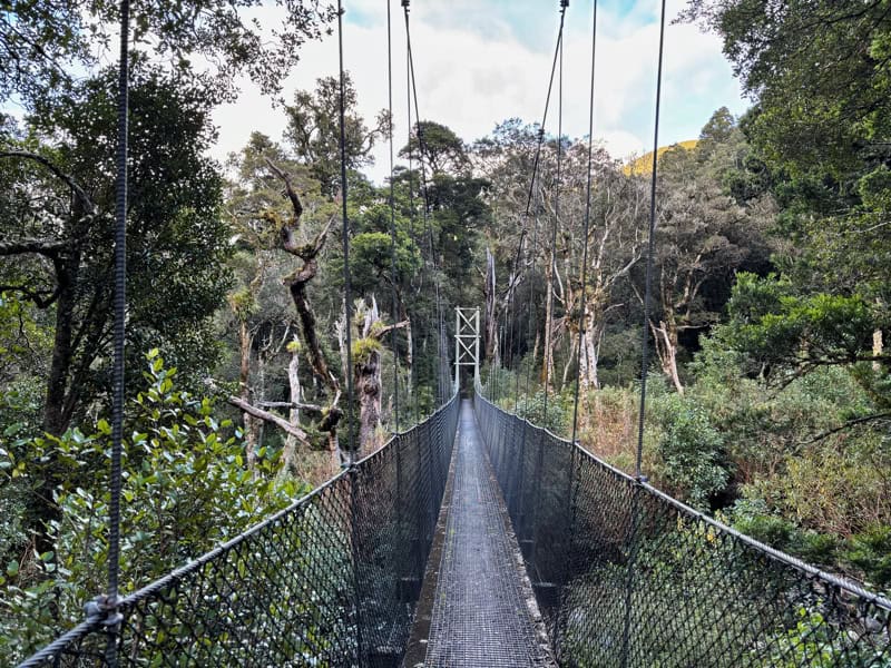 atiwhakatu bridge