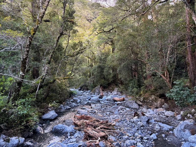 atiwhakatu track view