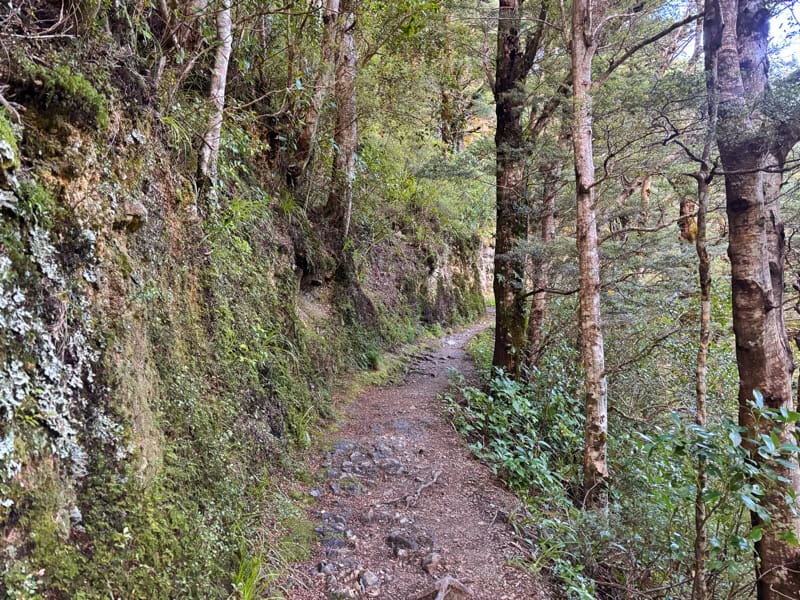 atiwhakatu track