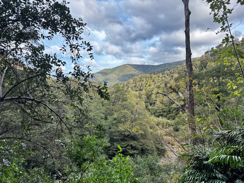 atiwhakatu views