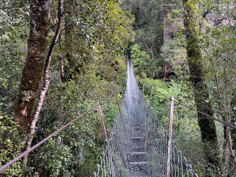 bridge on the atiwhakatu track
