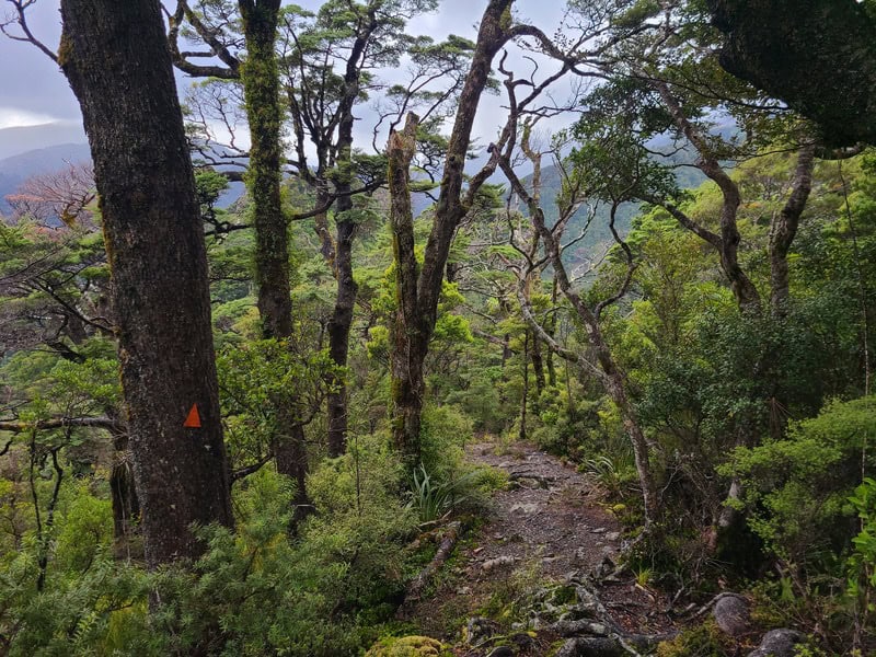 mount matthews track