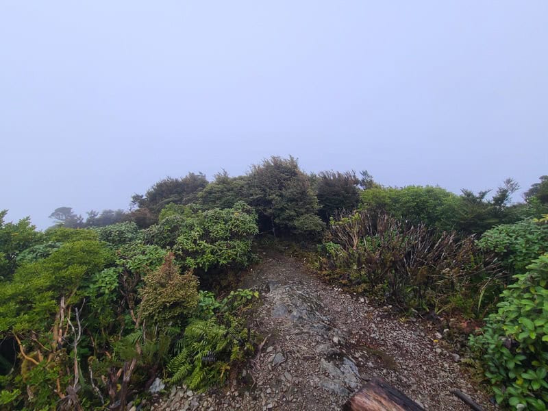 mt matthews summit views