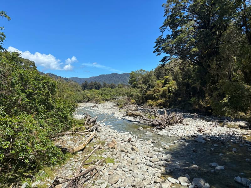 munro creek