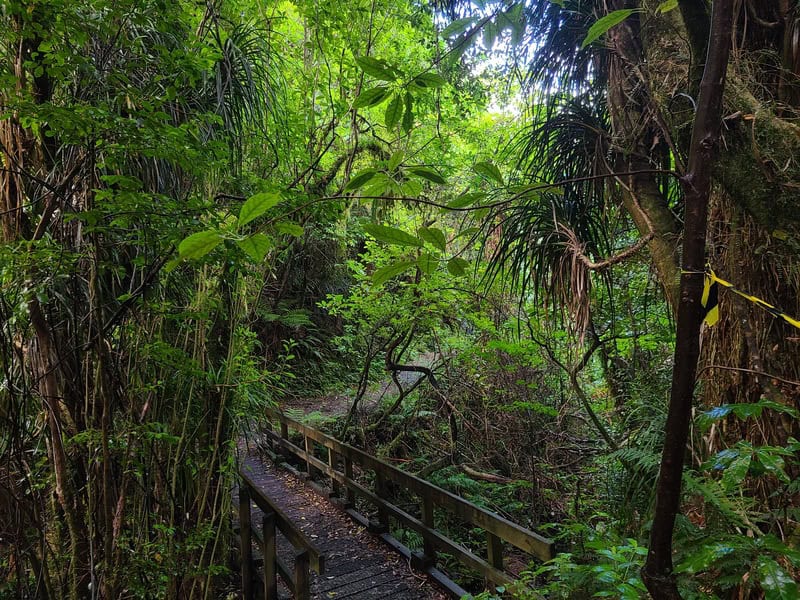 orongorongo track