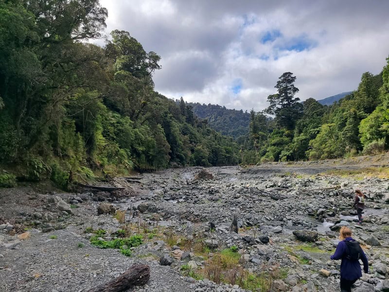 orongorongo river track