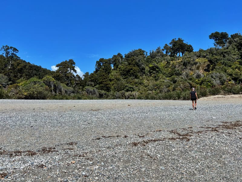 rainforest backing onto Munro beach