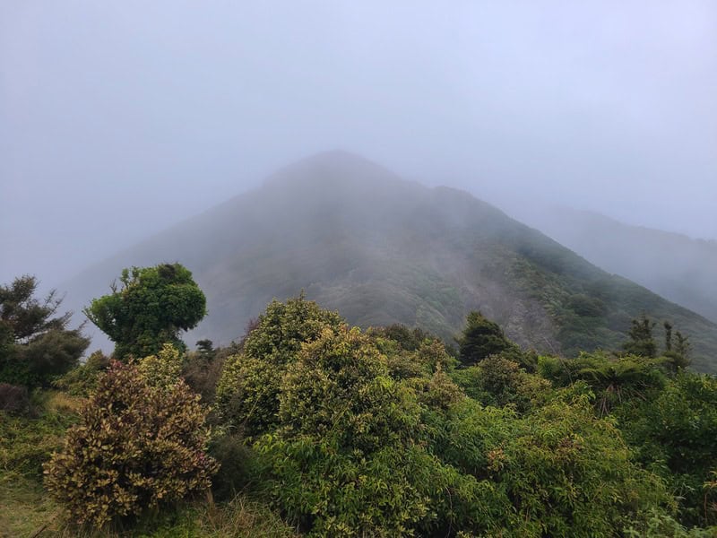 south saddle