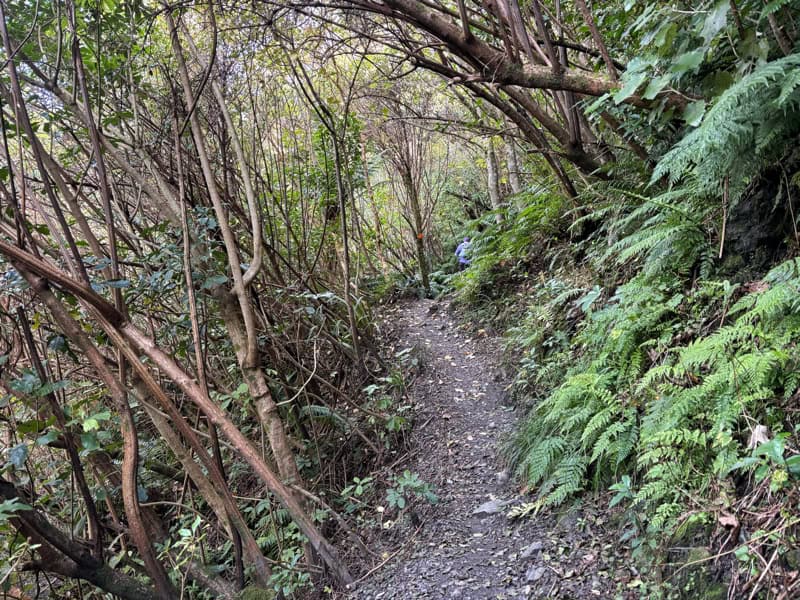 the atiwhakatu slip