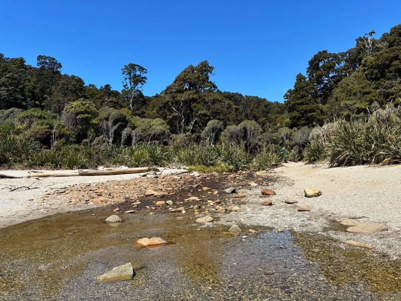 the stream you may need to cross on the munro beach track