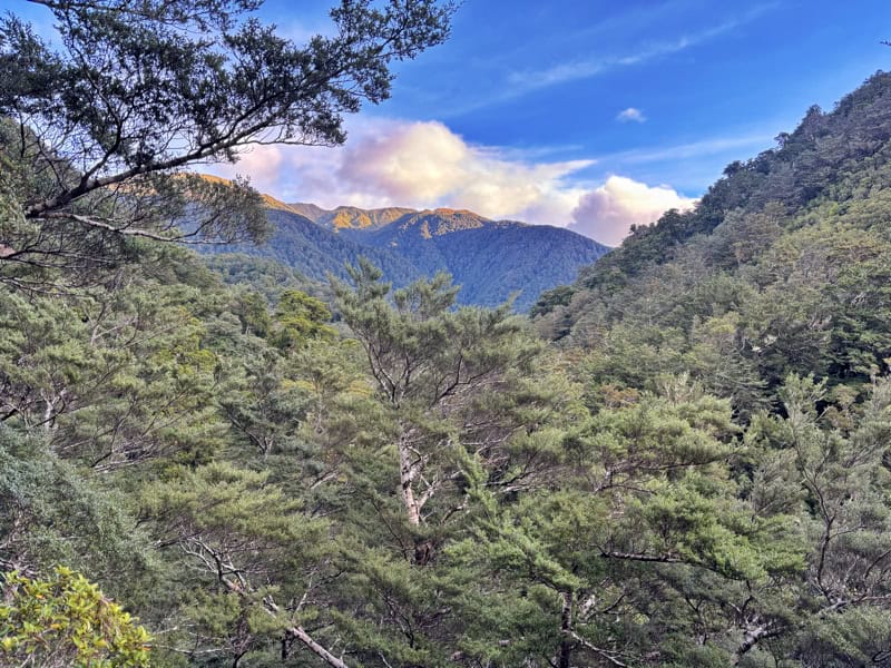 view into the tararua ranges