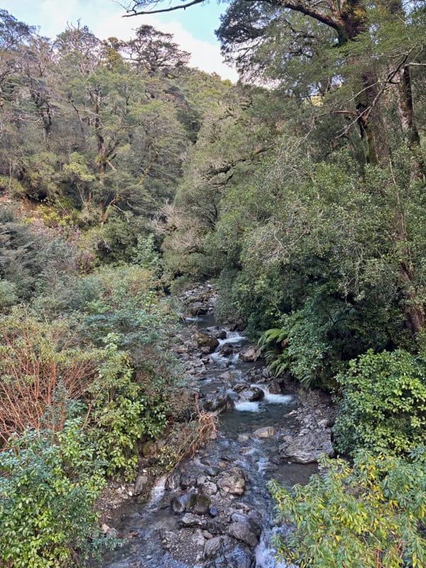 view of the atiwhakatu stream