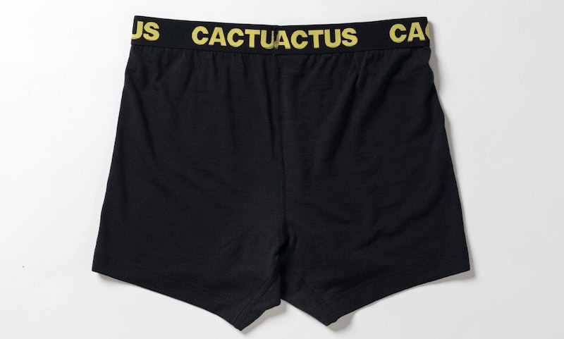 cactus outdoor Flex Merino Boxers Mens