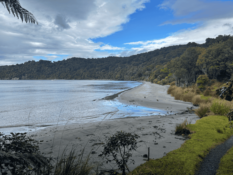 rakiura track beach views